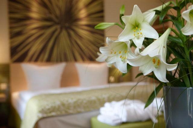 Logis Hotel Kur- Und Wellnesshaus Spree Balance Burg Værelse billede